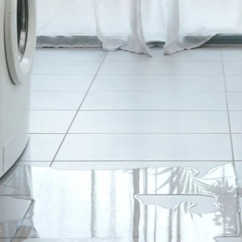 Appliance Leak Cleanup in Paulding County, GA