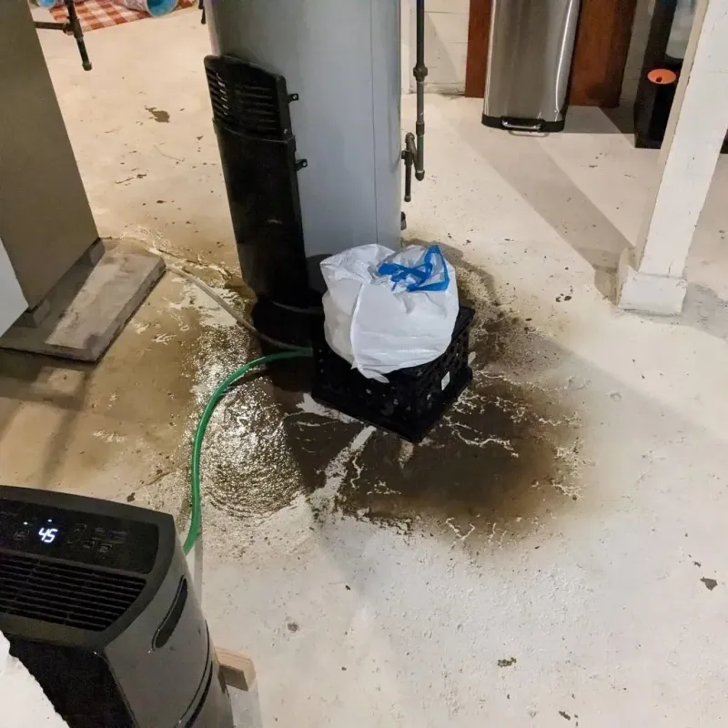 Sewage Backup Cleanup Service in Paulding County, GA